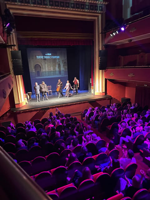 Valencia: New Flamenco Show in the Most Emblematic Theater of the City - Flamenco in a theater built for performance