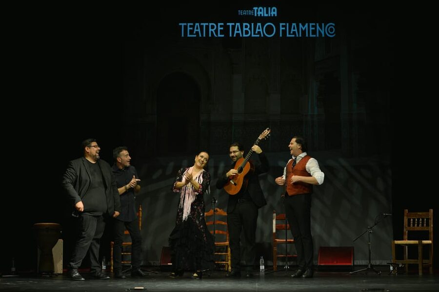 Valencia: New Flamenco Show in the Most Emblematic Theater of the City - The performers and the parts they play