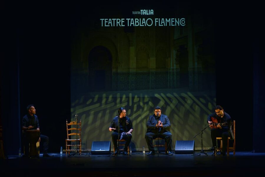 Valencia: New Flamenco Show in the Most Emblematic Theater of the City - What the audience seating is like