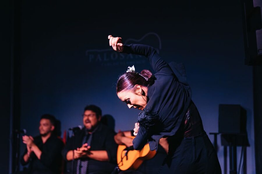 Valencia: Palosanto Flamenco Show Ticket - Arrive early for the best view
