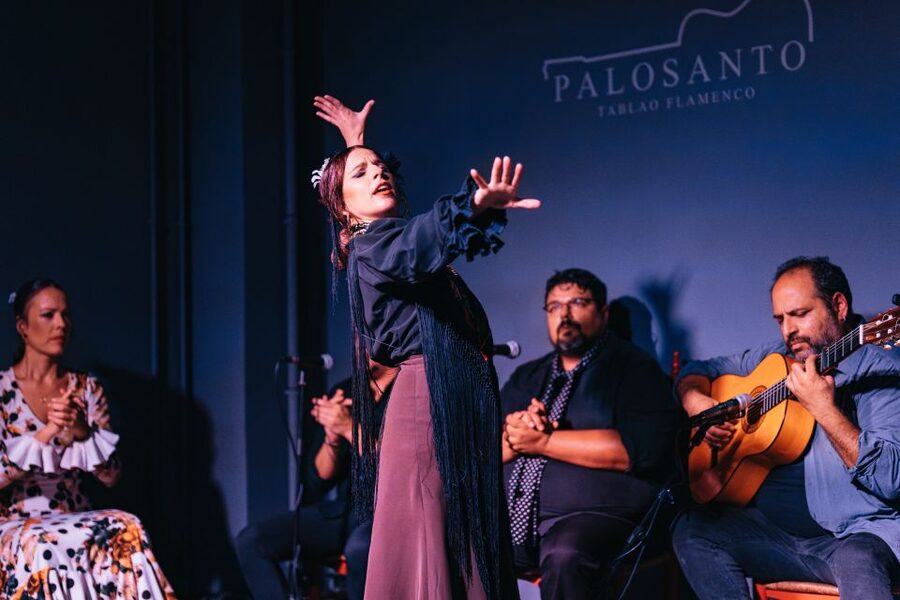 Valencia: Palosanto Flamenco Show Ticket - How intimate is the room?